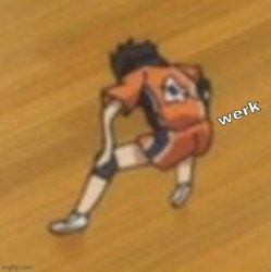 werk Meme Template