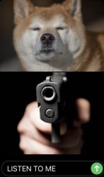 iMessage doge Meme Template