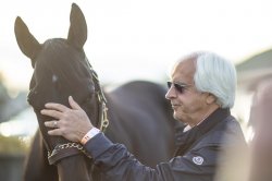 bob baffert Meme Template