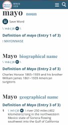 Merriam-Webster Mayo definition Meme Template