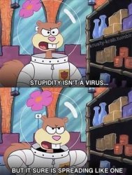 Stupidy isn't a virus Meme Template