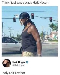 Black Hulk Hogan Meme Template