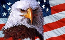 American Flag and Eagle Meme Template