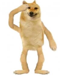 Doge saluting Meme Template