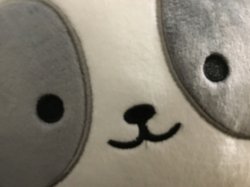 Panda Meme Template