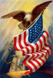 Bald Eagle American flag Meme Template