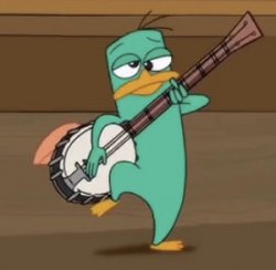 Drunk Perry Playing A Banjo Meme Template