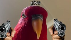 Red Bird Meme Template