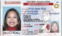 Illinois license Meme Template