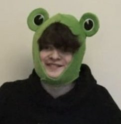 Frogbo Meme Template