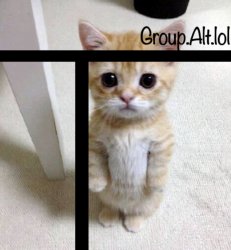 GPl template Meme Template