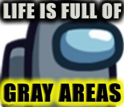 Life is full of gray areas Meme Template