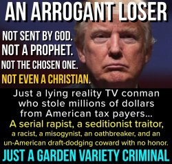 Trump traitor Meme Template