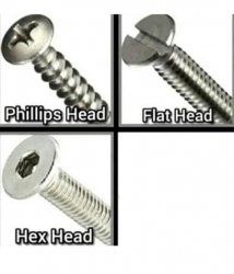 Phillips head, flat head, hex head, blank Meme Template
