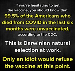 Take the Covid vaccine Meme Template