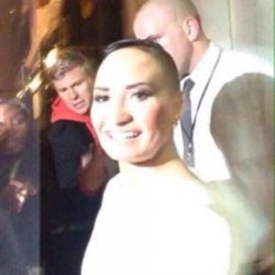 poot lovato Meme Template