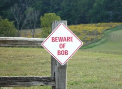 Beware of bob Meme Template