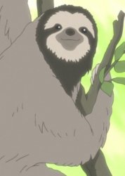 Anime sloth wise Meme Template