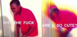 Why TF are you so coot Meme Template