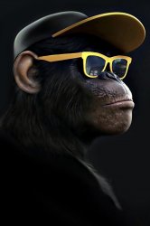 Swag monke Meme Template
