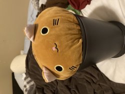 Cat can Meme Template