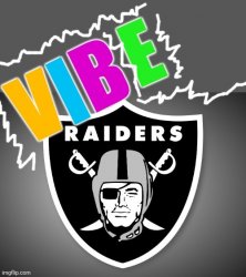 vibe raiders Meme Template