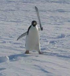 a penguin holding a machete Meme Template