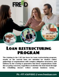 Loan restructuring program Meme Template