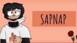 s a p n a p Meme Template