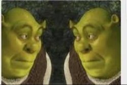 s h r e k Meme Template