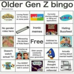older gen z bingo Meme Template