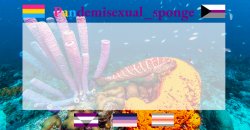 Pandemisexual_sponge temp Meme Template