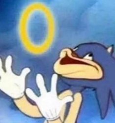 Sonic Meme Template