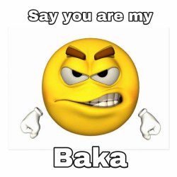 Say you are my baka Meme Template