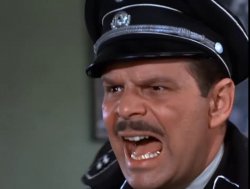 Hogan's Heroes Major Hochstetter Meme Template