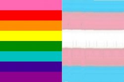 Pride trans pride Meme Template