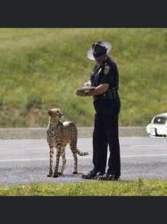 Cop and cheetah Meme Template