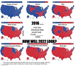 2016 voting map demographics Meme Template