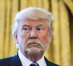 Donald Trump With Beard Meme Template