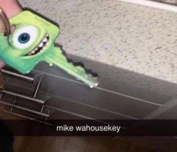 mike wahousekey Meme Template