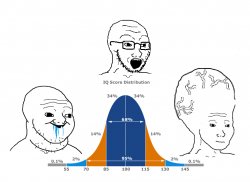 IQ bell curve school Meme Template