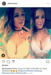 Danielle Vanessa Meme Template