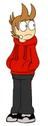 Tord Meme Template