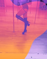 Danielle Vanessa Meme Template