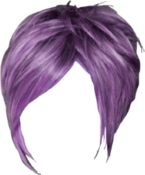 hair purple courtesy of bsc sensird purple hair Meme Template