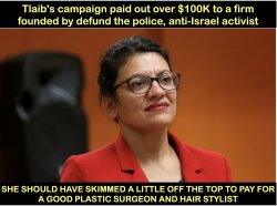 Tlaib skims money Meme Template