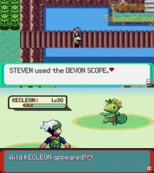 Pokemon wild Kecleon appeared Meme Template