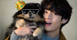 King Yeontan and Servent Taehyung Meme Template