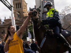 Protester punches horse Meme Template