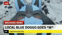 Lucario ^w^ Meme Template